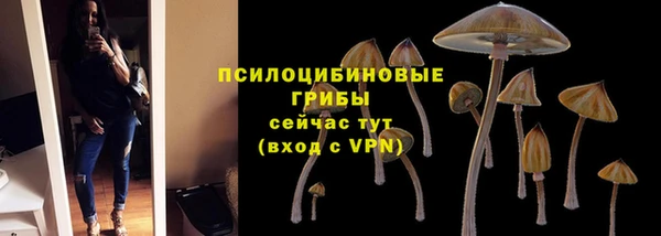 гашик Бутурлиновка