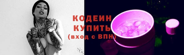 соль ск Пестово