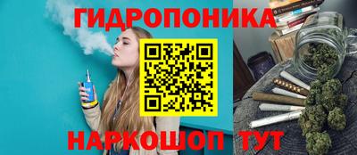 синтетический гашиш Камышлов