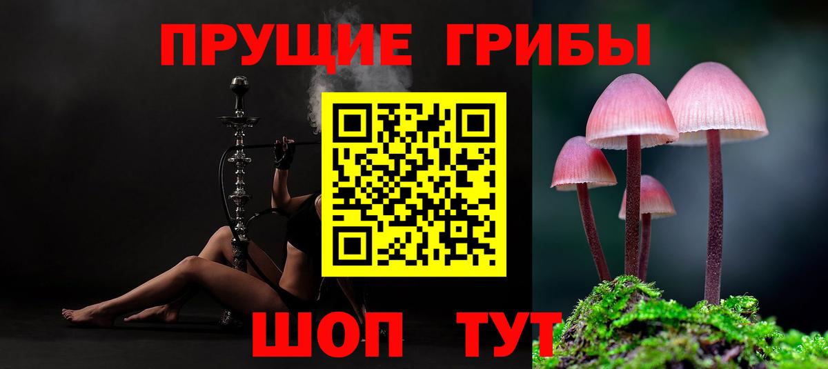 Галлюциногенные грибы Cubensis Барабинск